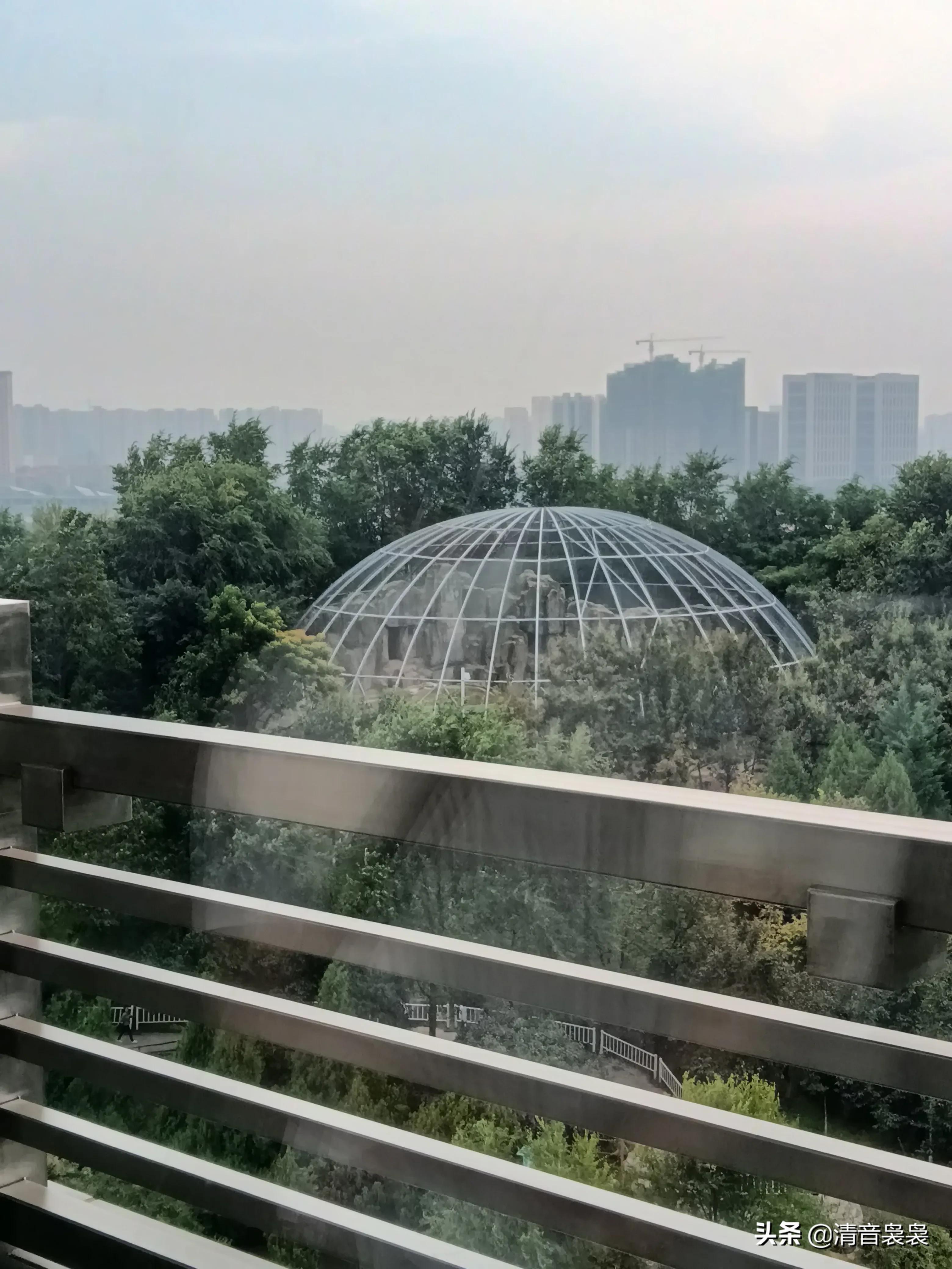 10年前西安世博园,现在世博园怎么样了