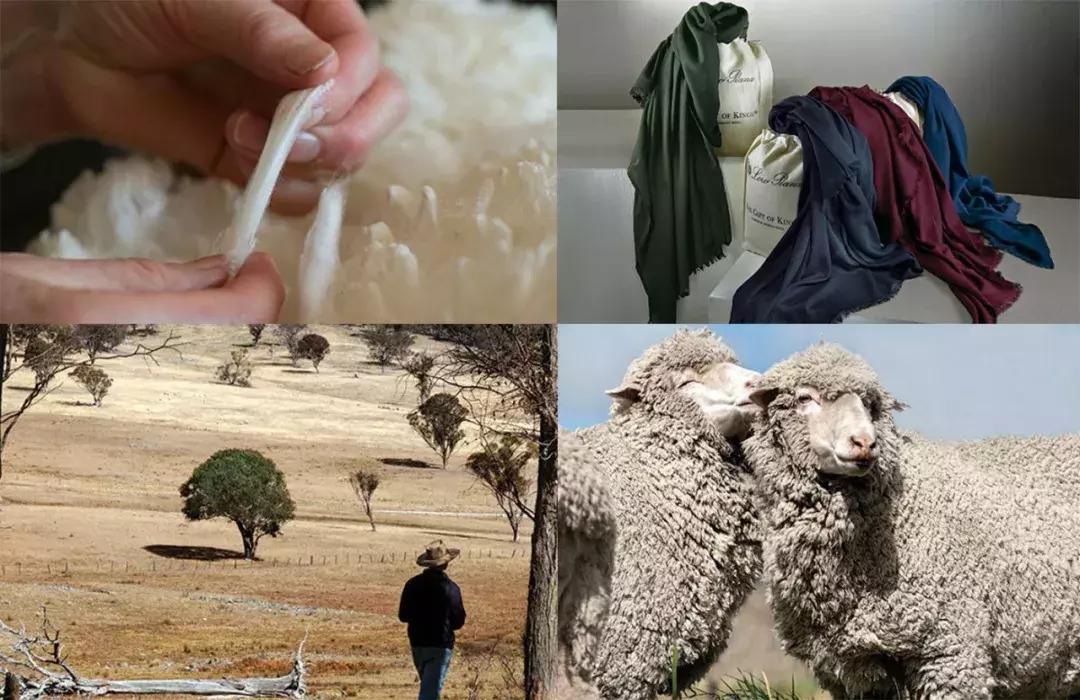 一件针织衫要六位数?能穿它的人不仅真壕还低调!