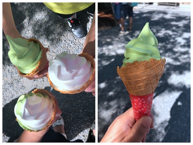 箱根到奈良如何坐车,日本东京京都箱根大阪奈良8日游