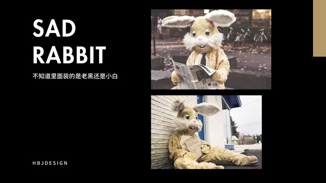 如何在一页ppt依次放图,如何在一张ppt上放多张图片