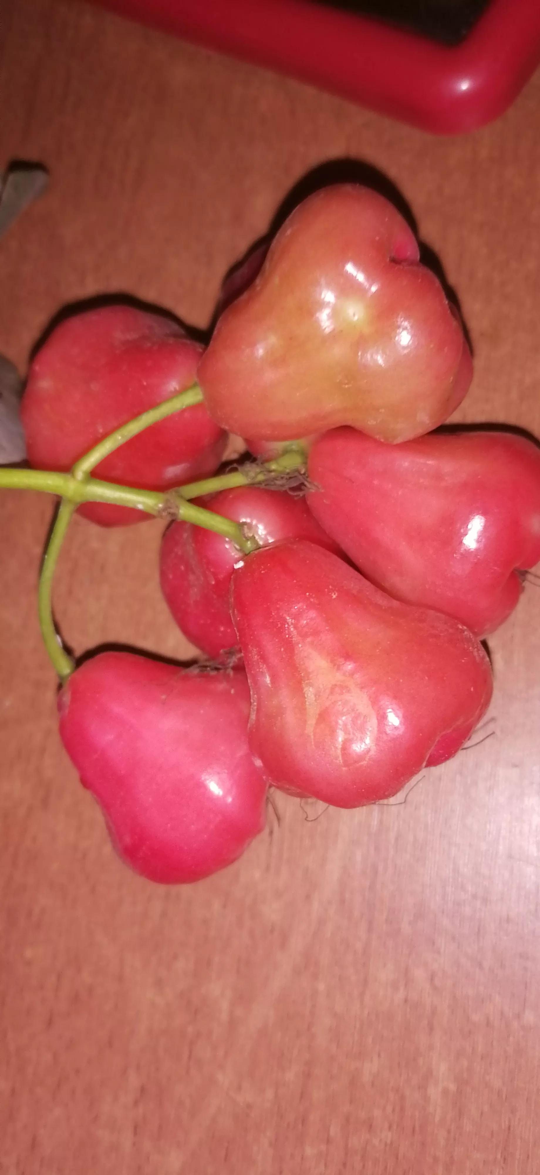 印度尼西亚本地水果比较好吃,印度尼西亚水果