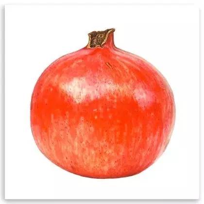 超写实绘画真实吗,超写实的植物绘画