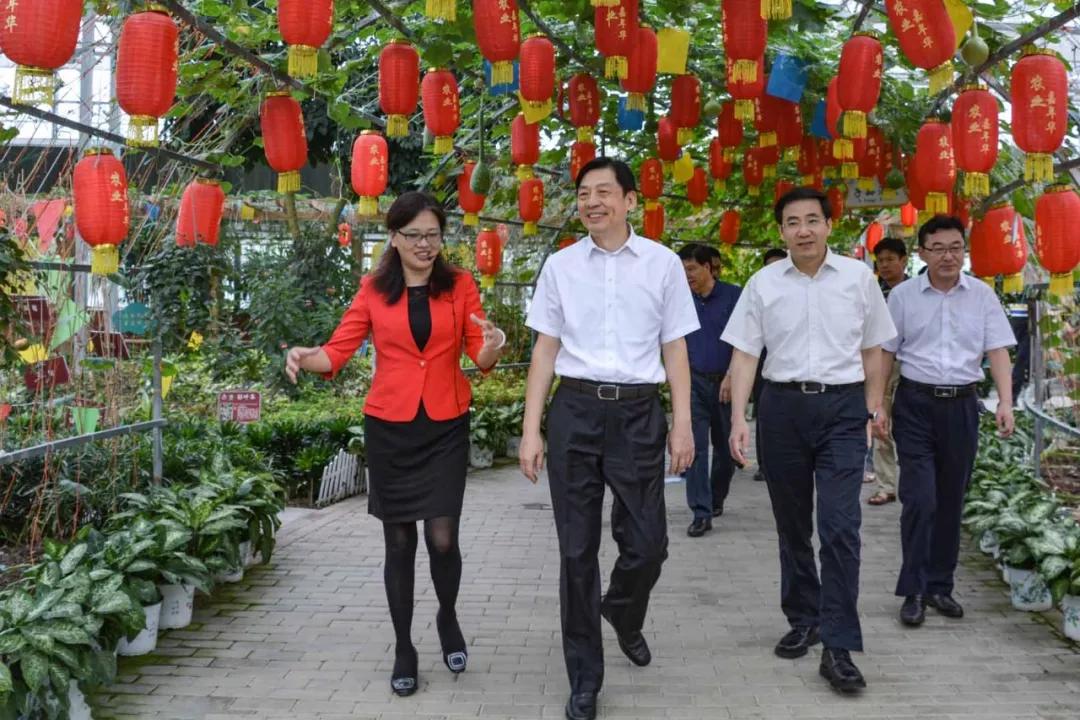 中农富玉大事记,中农富玉未来发展趋势