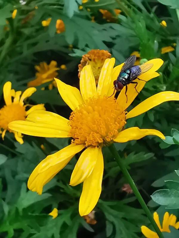 手拍世界微信公众号,手拍世界完整版视频