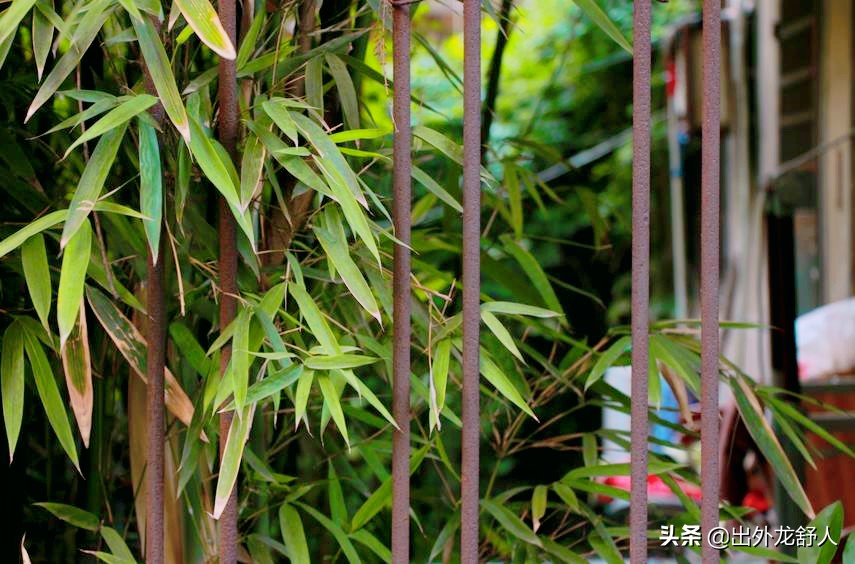 合肥成熟的商业街 (合肥比较成熟的商业街)