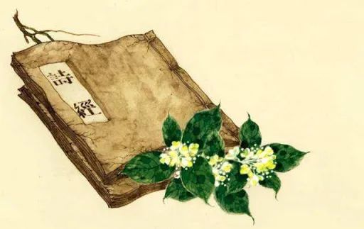 bbc杜甫中国最伟大的诗人内容介绍,bbc杜甫中国最伟大的诗人的解说词