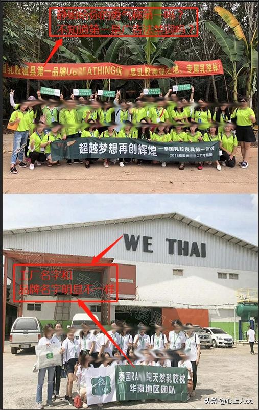 真乳胶枕和假乳胶怎么辨别,怎么区分天然乳胶枕和海绵枕头