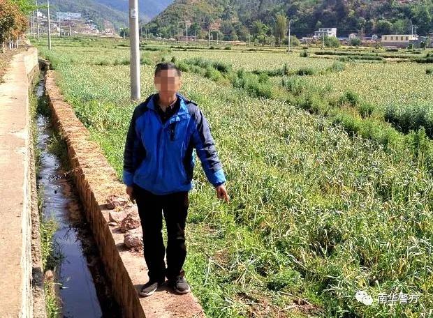 开心农场现实版偷菜,现实版农场主偷菜