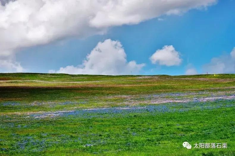 四川漫步茶马古道,四川以西旅游