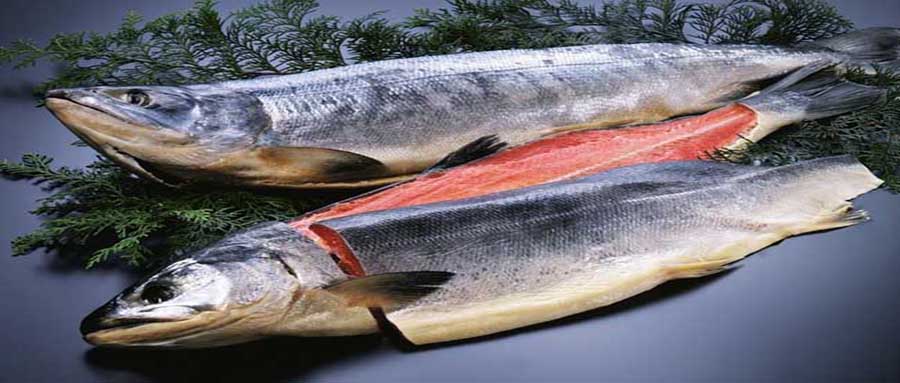 小孩吃什么鱼最好最有营养无刺,哪种鱼适合小朋友吃营养价值高