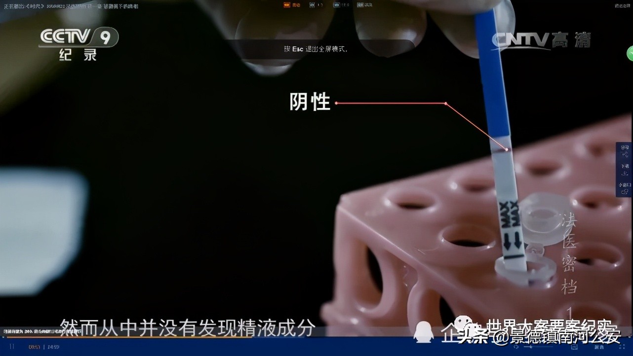 大案纪实法医四人组,大案纪实法网恢恢