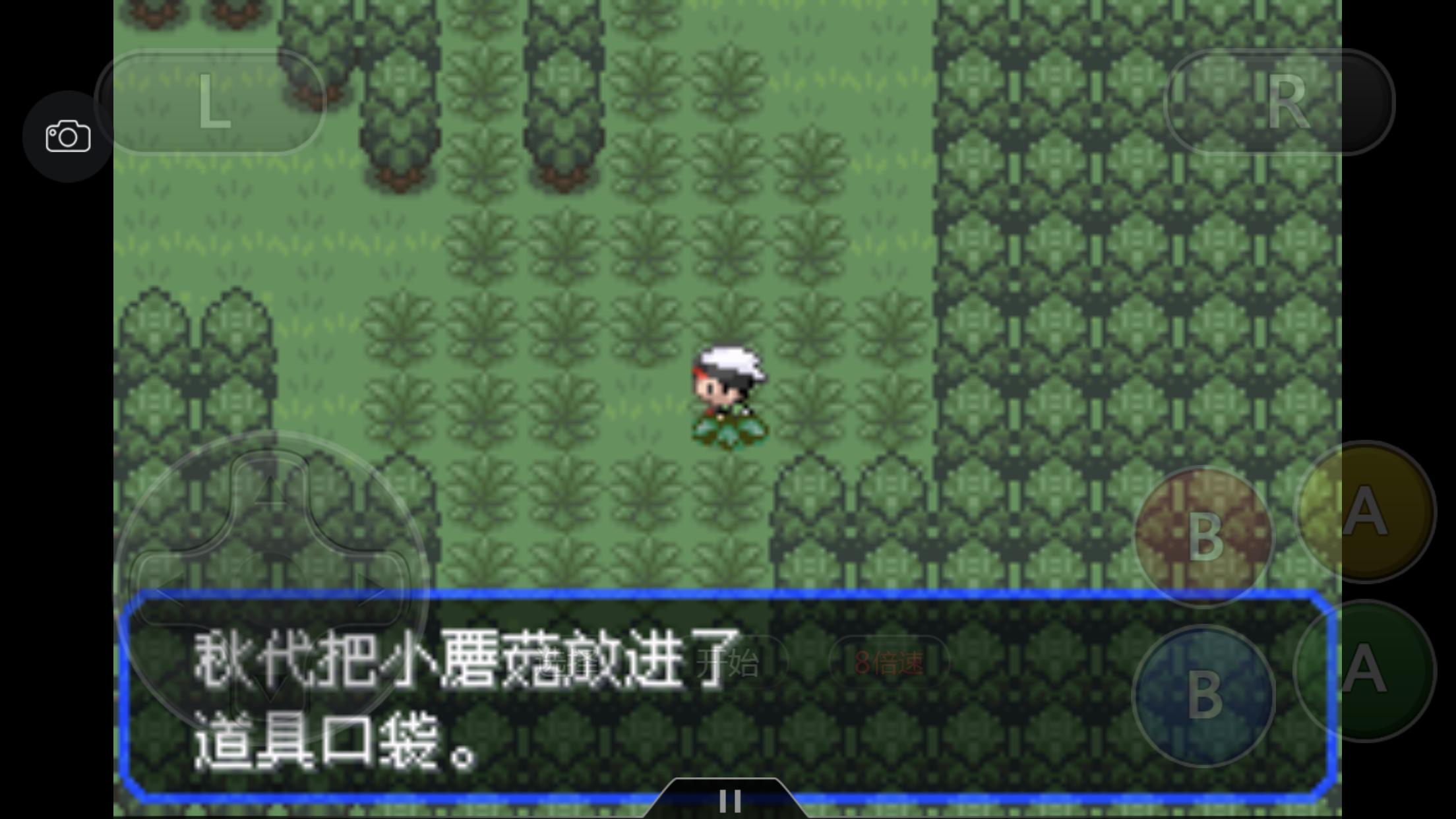 究极绿宝石5.3如何才算完成一周目,口袋妖怪之究极绿宝石5攻略