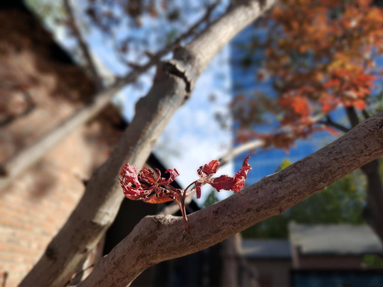 三星a20s测试,三星a20s手机怎么样