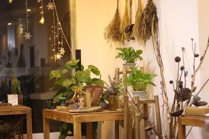 她31岁放弃北漂,回归自然,用枯枝败叶,打造了一个梦幻森林