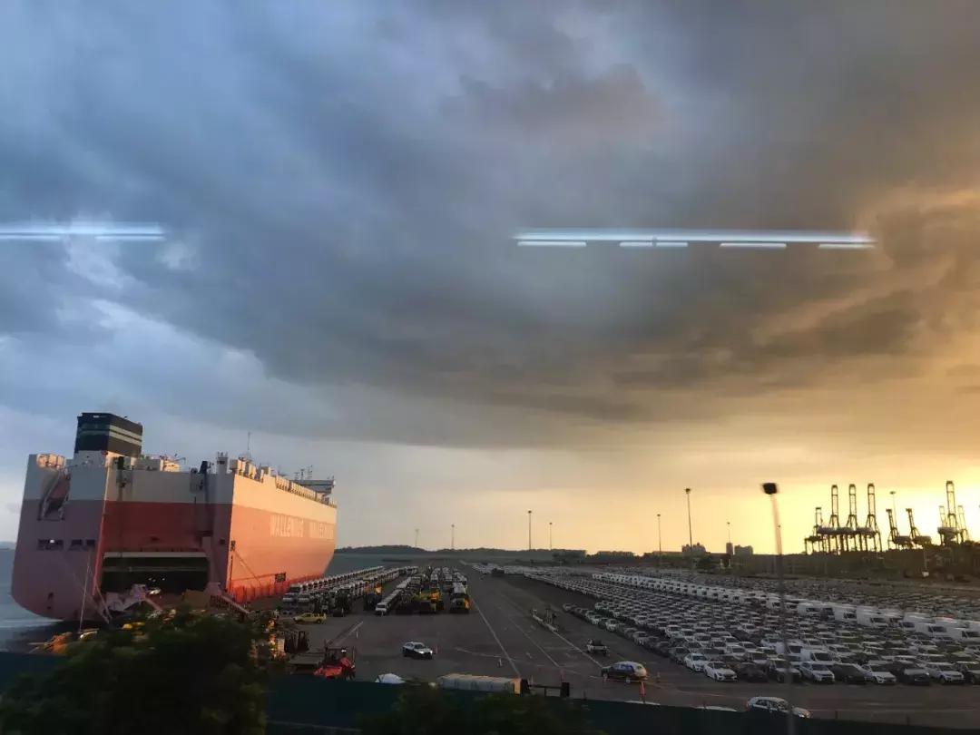 “南洋”见闻略:开怀有自新加坡