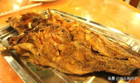 短短30年,从街边美食,到臭名昭著,埃及塘虱鱼经历了什么?