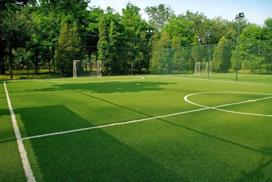 新区哪里可以踢足球,新区体育场踢球