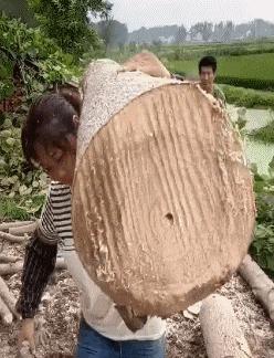 被龙虾夹了一下,手被龙虾的钳子夹了会怎么样