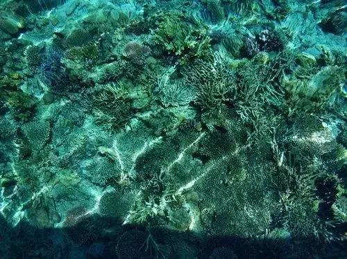 中国的仙本那指的是哪里,仙本那最值得去的地方