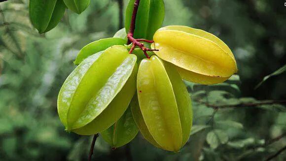 成都到涠洲岛旅游攻略自由行,成都去北海涠洲岛旅游攻略