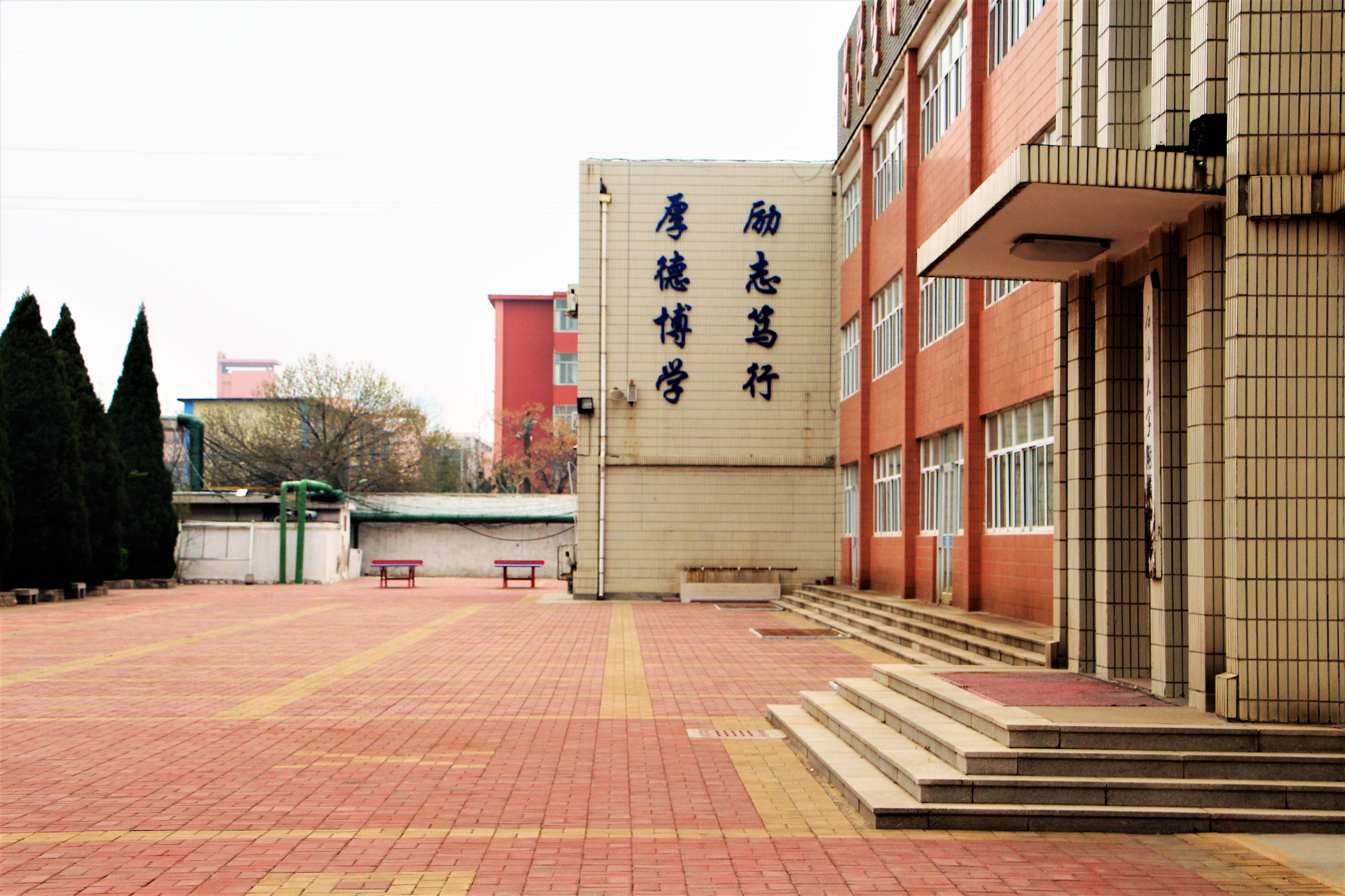 山东东营石大校区,东营市石大附中小学