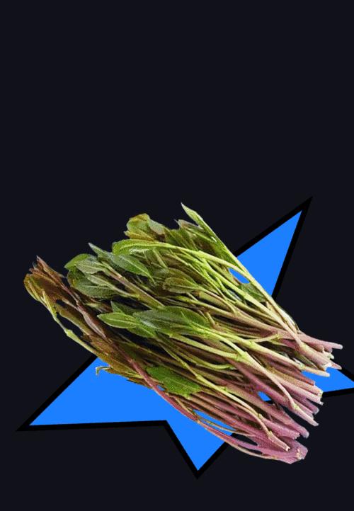 这种毒!学会防!懂得戒