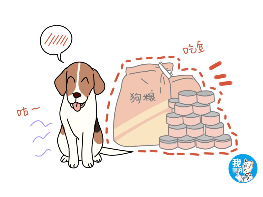 比格犬性格好不好,比格犬为什么是实验犬