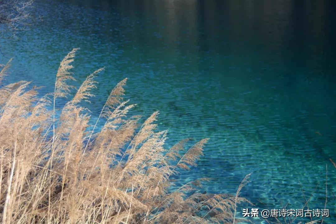 12个月12首诗词极致之美,12个月对应的诗句