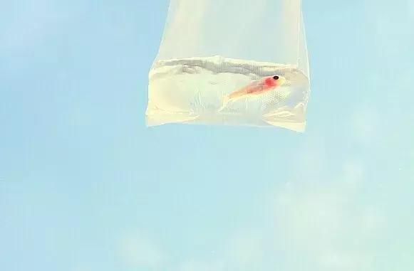 算命的说有偏财运,命理没有偏财运