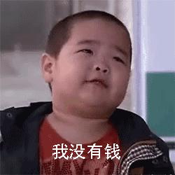 谢飞机随身携带的小绿包,谢飞机表情包视频