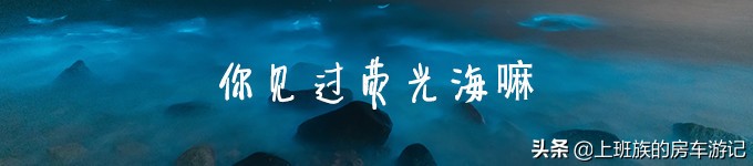 花鸟岛和枸杞岛攻略,海花岛攻略带你玩转海花岛