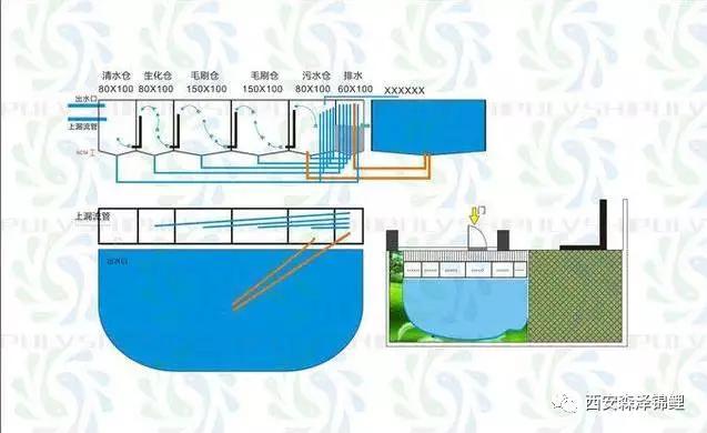 最强锦鲤鱼池过滤系统,锦鲤池最好的过滤设备