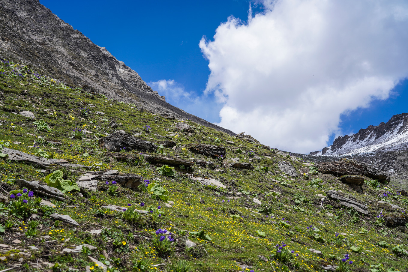 距离成都最近的户外天堂，这里比瑞士、阿尔卑斯还美