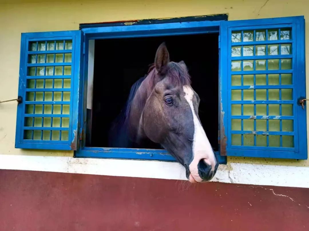 童话小镇在哪里,山东梦幻童话小镇在哪里