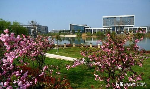 国内仅有的1所211“药科”大学，地域好实力强，就业很不错