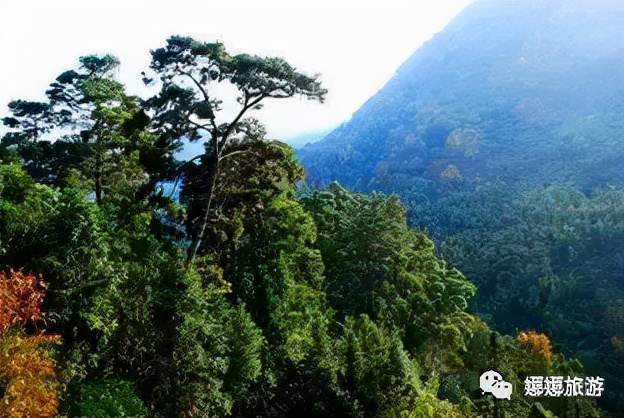 黄楮林温泉旅游攻略,黄楮林温泉景区