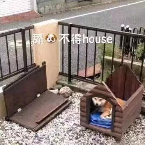 舔狗不回复聊天记录截图,舔狗聊天记录炸裂三观