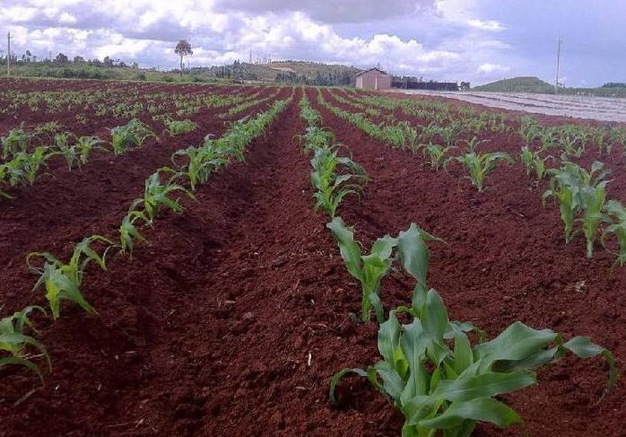 他买肥料花110元，我花160元！谁亏了？找个农业教授来解题