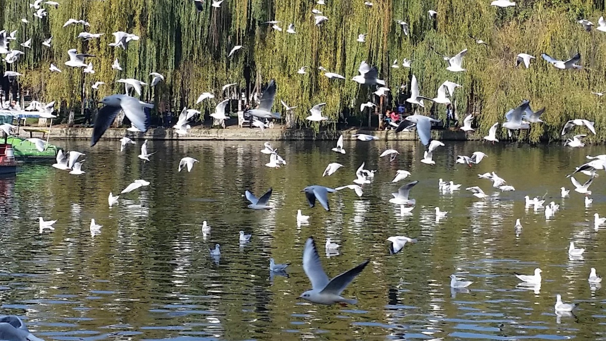 怒江冬天旅游,怒江旅游必打卡攻略大全