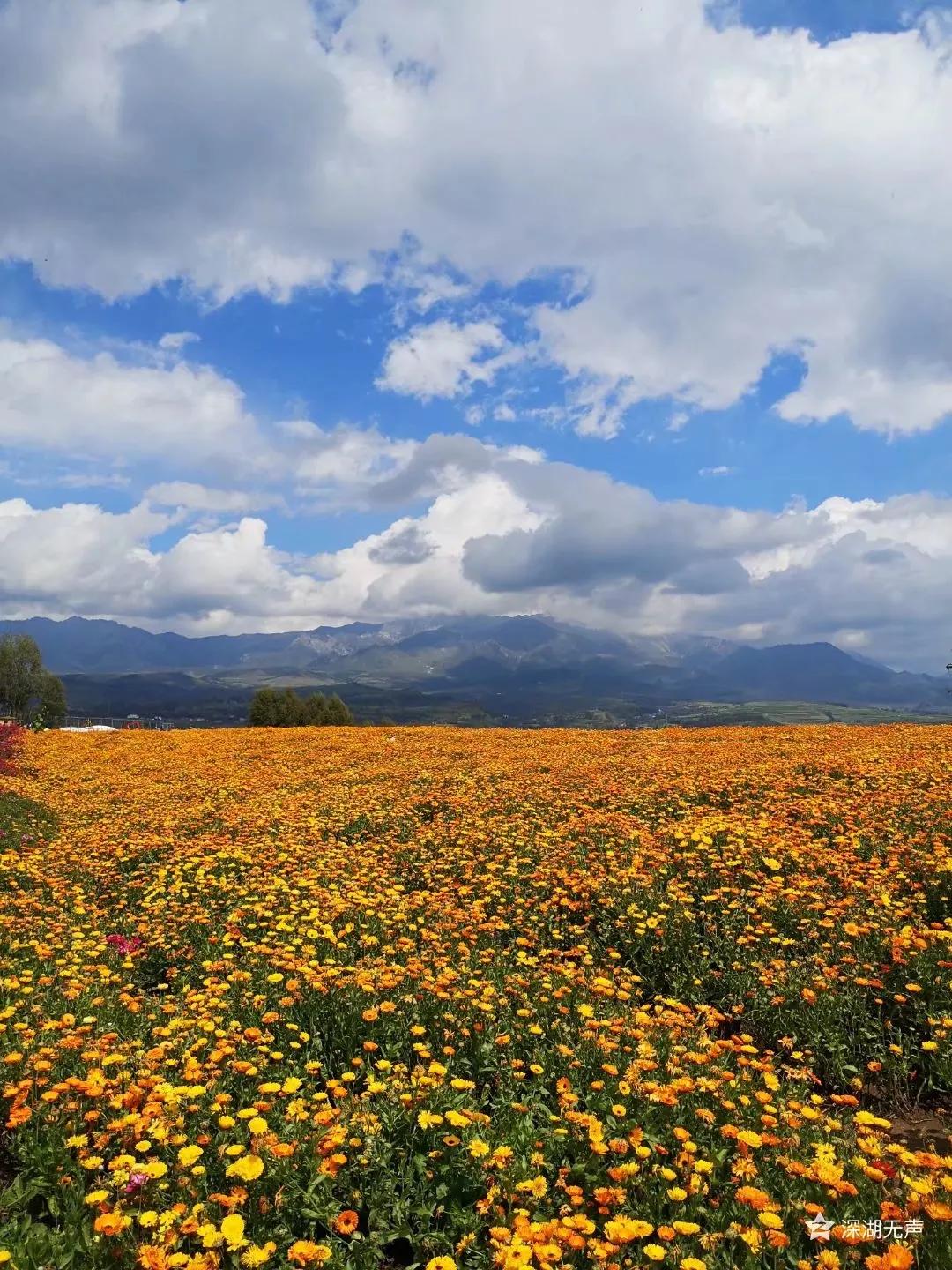 西宁一座美丽城市,西宁有哪些特色建筑名称
