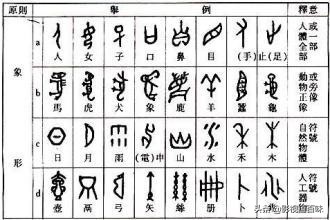 说文解字指事,说文解字会意字举例