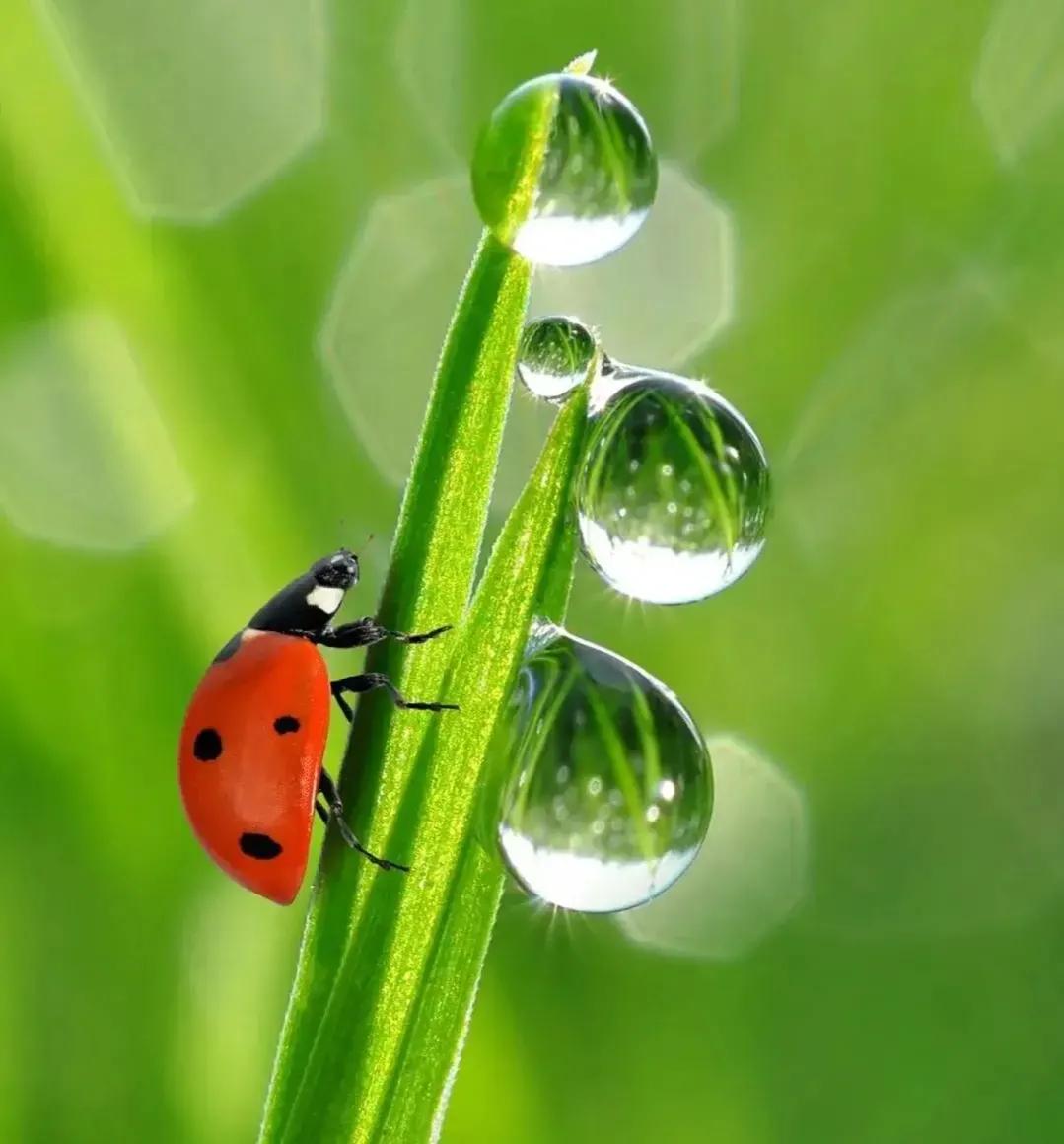 保姆慕兰月薪一万深圳打工,43岁慕兰月薪10000