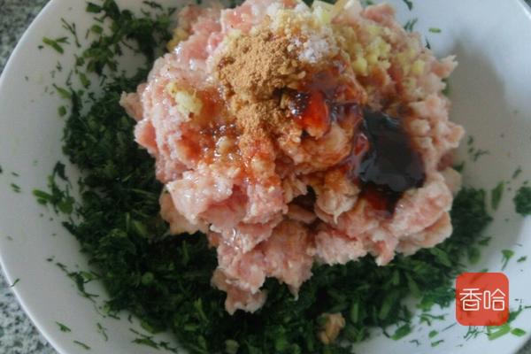 茴香肉饺子怎么调馅简单肉香,茴香肉怎么包饺子