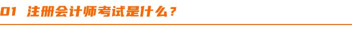 注册会计师考试报名攻略详解,河南注册会计师报名时间2022年