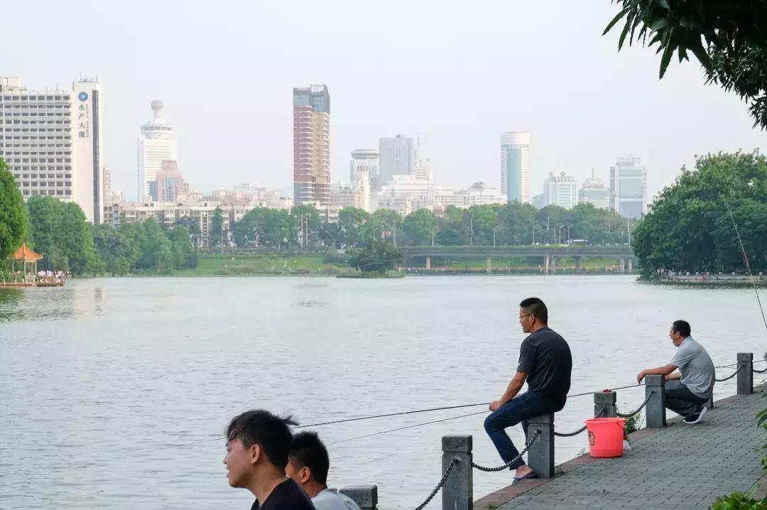 公社笋岗,万象笋岗
