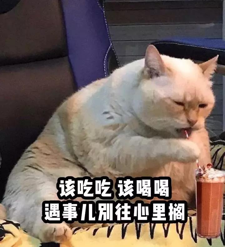 大白兔奶糖味的香水有哪些,大白兔奶香香水推荐平价小众