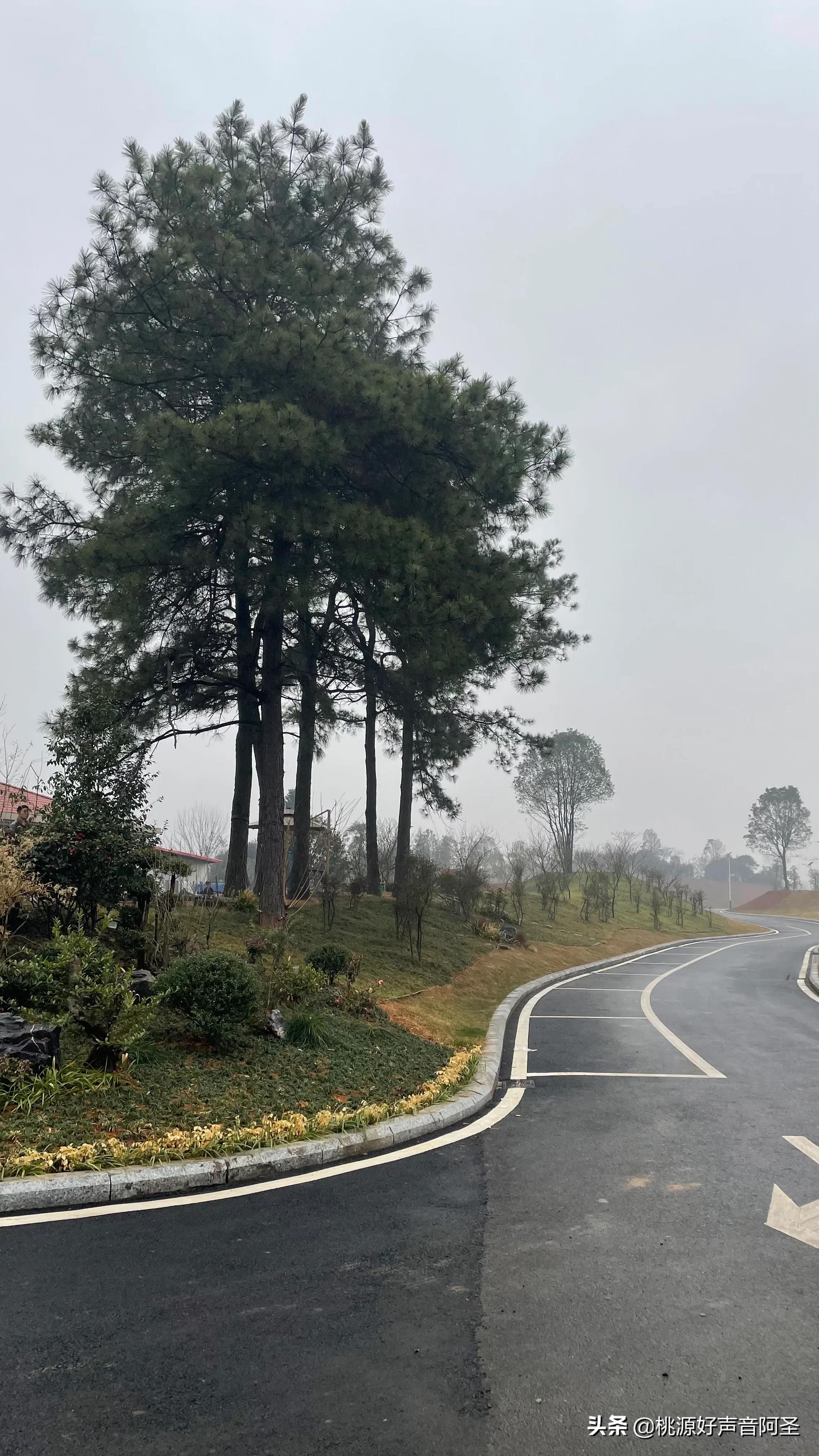 陬市风景好的地方,陬市福德山庄