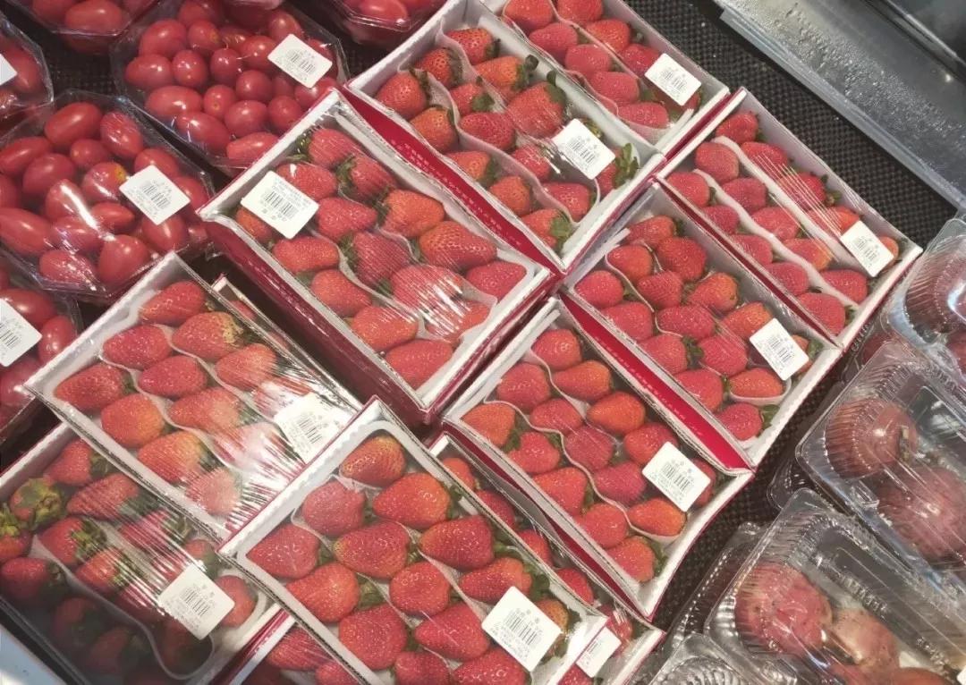 春天买盆小苗苗，嘟噜嘟噜直结果，吃完一茬又一茬