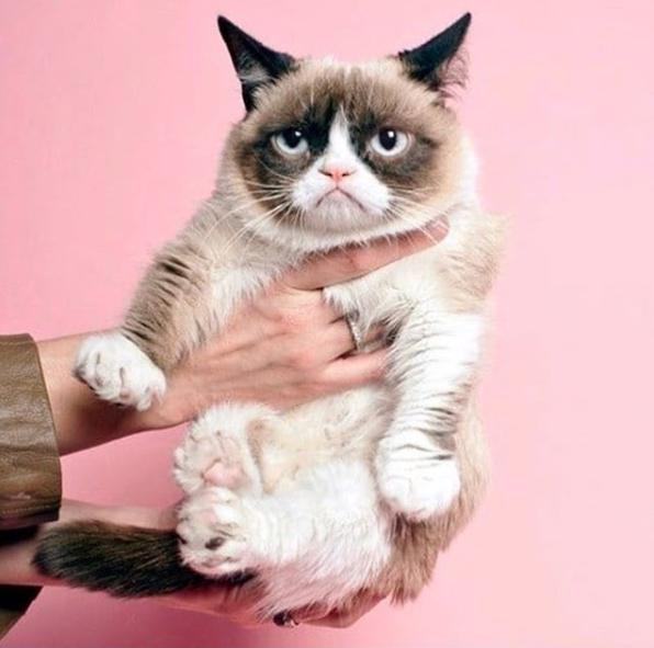 pauljoe春夏化妆,pauljoe彩妆什么档次