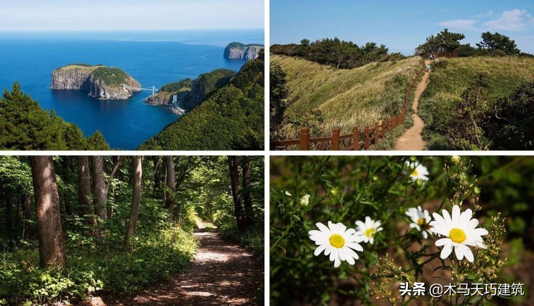 设计一个具有地域文化特色的酒店,10间小型酒店设计